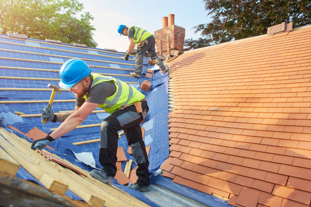 Best Roof Insulation Installation  in Wildomar, CA